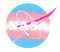 NASA Logo PNG Clipart