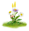 Nature PNG File