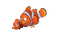 Nemo PNG Download Image