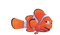 Nemo Transparent