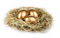 Nest Download PNG