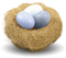 Nest PNG Picture