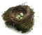 Nest PNG