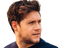 Niall Horan PNG Free Download