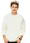 Niall Horan Singer PNG HD Image