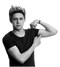 Niall Horan Singer PNG