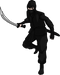 Ninja PNG Pic