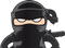 Ninja PNG Picture