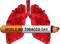 No Smoking PNG File