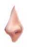 Nose PNG Free Download