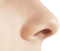 Nose PNG Free Image