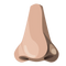 Nose PNG