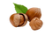 Nuts PNG Pic