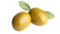 Olive Transparent