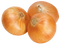 Onion Free Download PNG