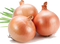 Onion PNG File