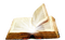 Open Bible Transparent