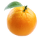 Orange Free PNG Image