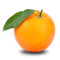 Orange PNG Clipart