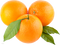 Orange PNG Picture