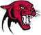 Panther PNG Picture