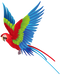 Parrot PNG Image