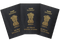 Passport PNG Pic