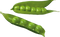 Pea PNG Clipart Background