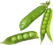 Pea PNG File Download Free