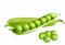 Pea PNG Free Download