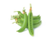 Pea PNG HD Quality