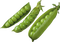 Pea PNG High Quality Image