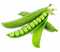 Pea PNG Pic