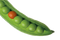 Pea Transparent Background