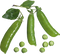 Pea Transparent Images