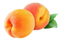 Peach PNG Picture