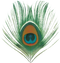 Peacock Feather Free PNG Image