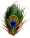 Peacock Feather PNG Clipart