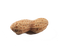 Peanut PNG Clipart