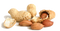 Peanut PNG File