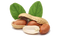 Peanut PNG Image