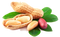 Peanut PNG Picture