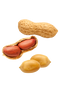 Peanut PNG