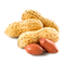 Peanut Transparent