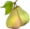 Pear Free Download PNG