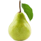 Pear Transparent