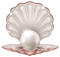 Pearl Transparent