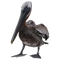 Pelican PNG File