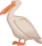 Pelican PNG