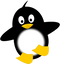 Penguin PNG Image